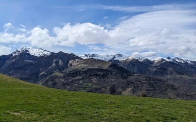 « Lo matin pujan a l’ombrèr, lo vrèspea la solana