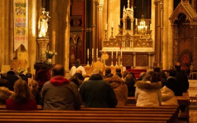 Retour sur les veillées pour la Vie