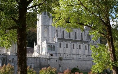 Pèlerinage national 2026 de l’Alliance à Lourdes