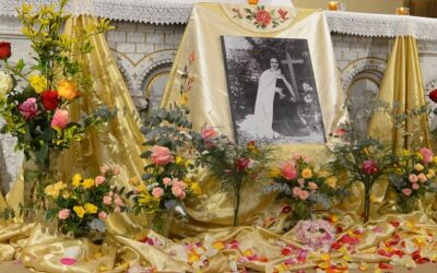 Soirée « Pétales de roses » à Pau